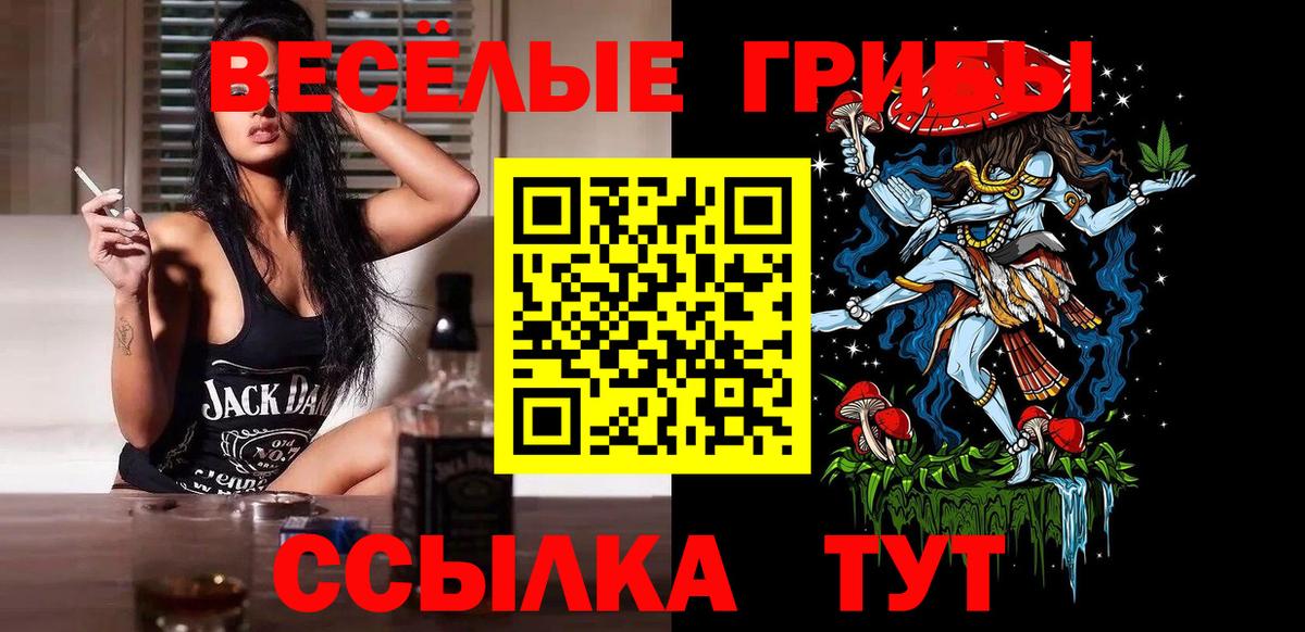 Галлюциногенные грибы Psilocybe Советская Гавань