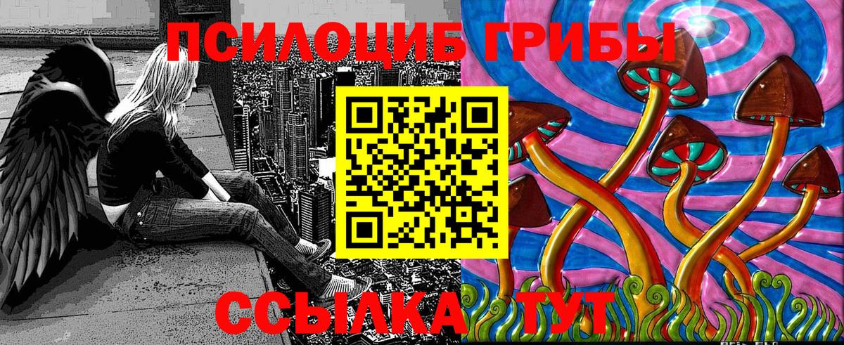 Советская Гавань  Псилоцибиновые грибы прущие грибы  Псилоцибиновые грибы Psilocybe  цена   Вход с VPN 